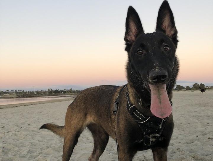 Preventive Dental Care