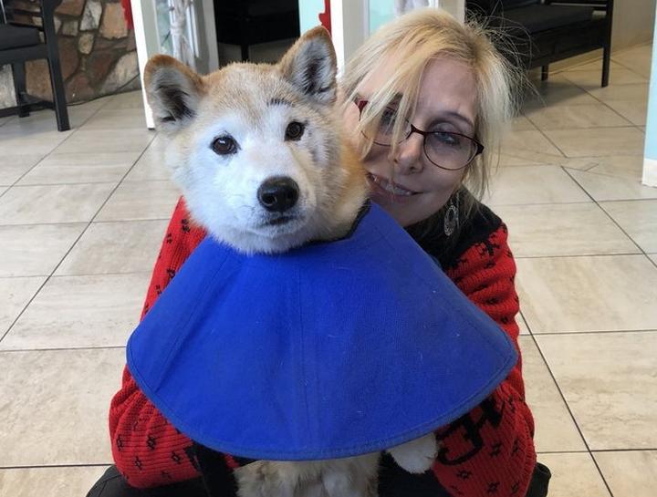 Digital Dental Radiology