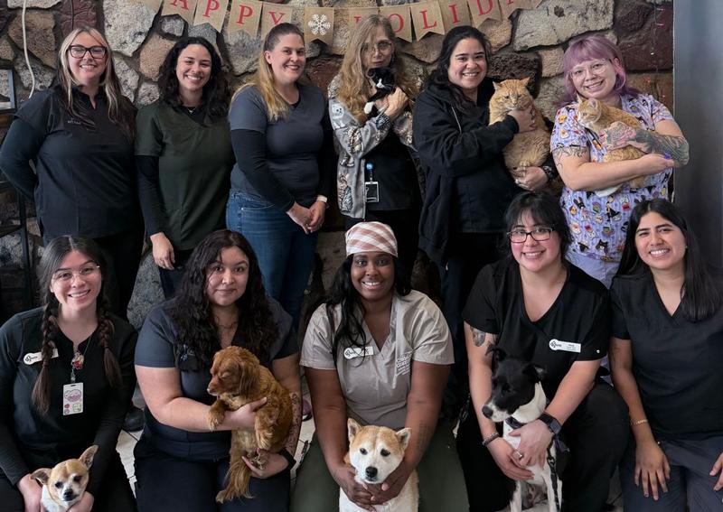 Balboa Veterinary Hospital